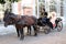 Cab with horses and a girl in the style of the XIX century.Â Moscow. 04.06.2009